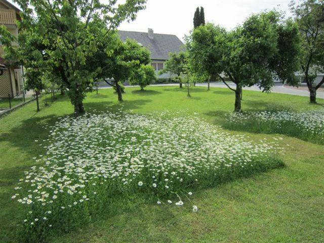 apartma Majda Apartment Bled Bagian luar foto